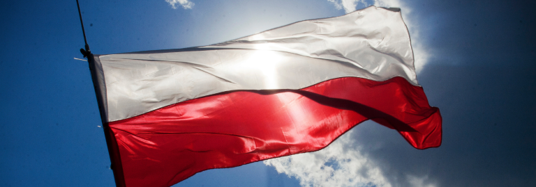 Dichiarazione di Valore Polonia lingua polacca