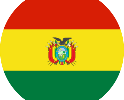 bolivia consolato