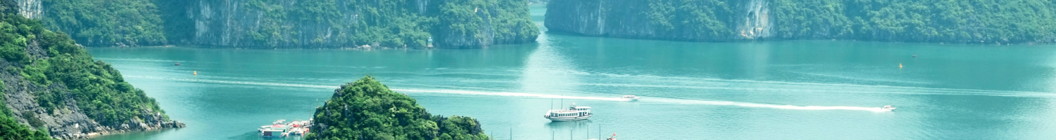 vietnam banner