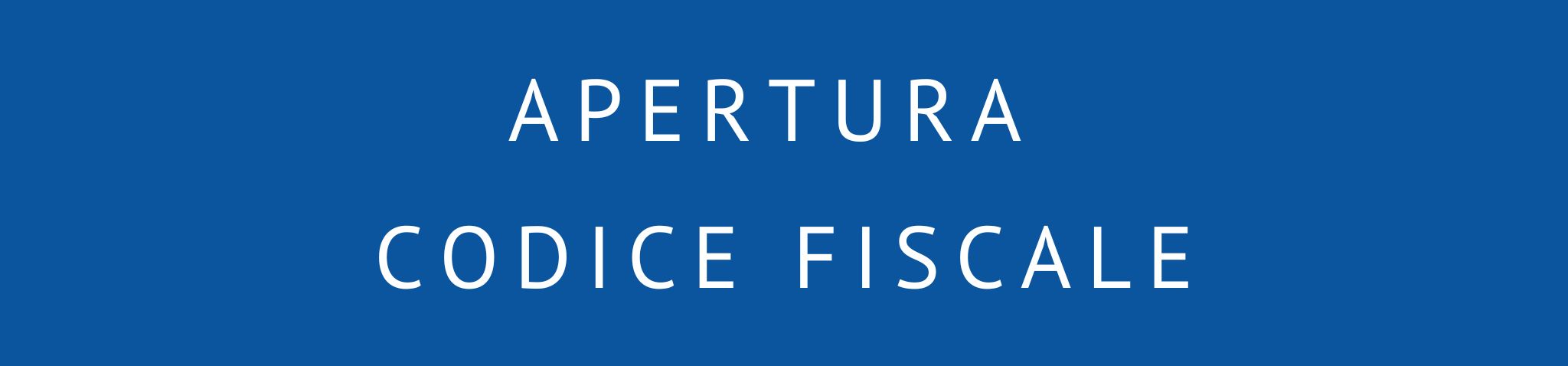 servizi immigrazione: apertura codice fiscale servizi immigrazione: apertura codice fiscale