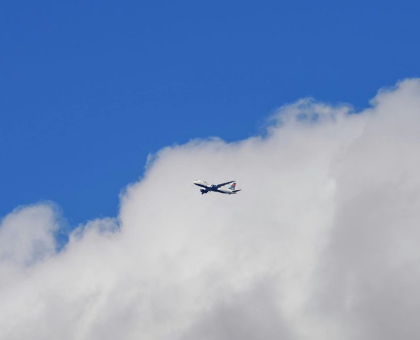 casellario giudiziale piloti hostess