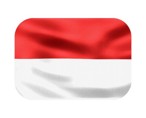visto indonesia